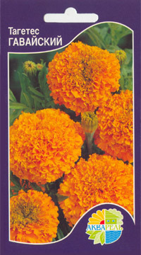   Tagetes erecta tall, ,   2 