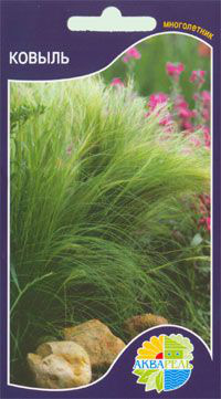  Stipa tenuissima, ,   3 