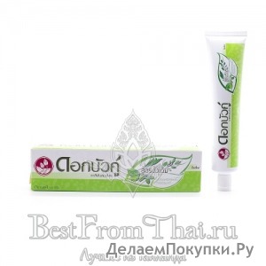   Twin Lotus Herbal Toothpaste original 100