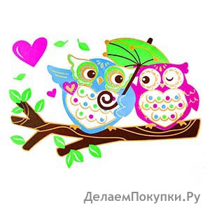 LOVE OWLS