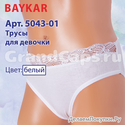 5043-01  Baykar (  )