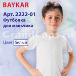 2222-01  Baykar (  )