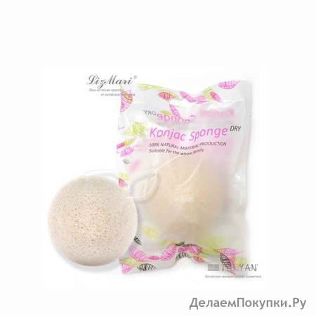      Konjac Sponge, 1 