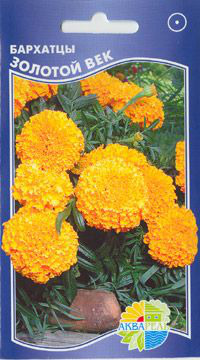     Tagetes erecta, 