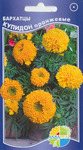     Tagetes erecta, 