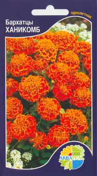    Tagetes patula, 