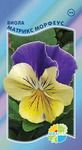     Viola x wittrockiana, 