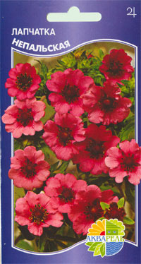    Potentilla nepalensis, 