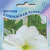     Grandiflora Double Petunia, 