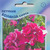    Multiflora Double Petunias, 