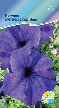     F1 Grandiflora Single Petunia, 