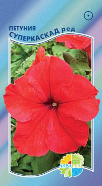     Grandiflora Single Petunia, 