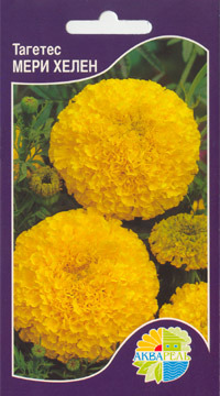     Tagetes erecta tall, 