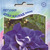      Grandiflora Double Petunias, 