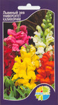      Antirrhinum maius, 