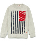 USA SWEATSHIRT