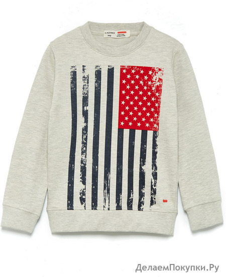 USA SWEATSHIRT