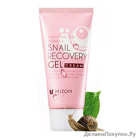 MIZON Snail Recovery Gel Cream    -