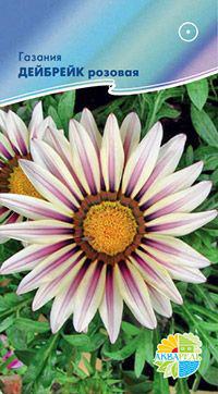 ,    Gazania rigens F1/  , ,   3 