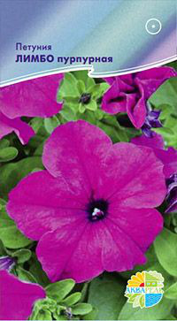    F1 Grandiflora petunia /  , ,   7 