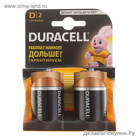   DURACELL D Basic LR20-2BL  2 