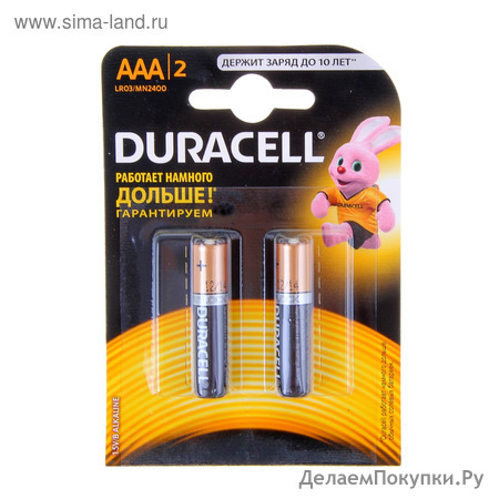   Duracell   2 . LR03-2BL BASIC