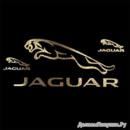 JAGUAR  