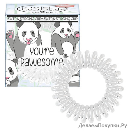 -   invisibobble POWER Youre Pawesome!