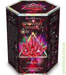    GROWING CRYSTAL 03, DankO toys