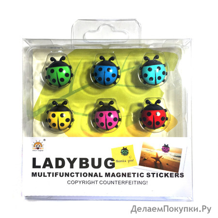    Ladybug, 6 