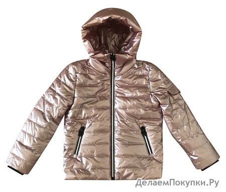 .19-06  Moncler  (  )