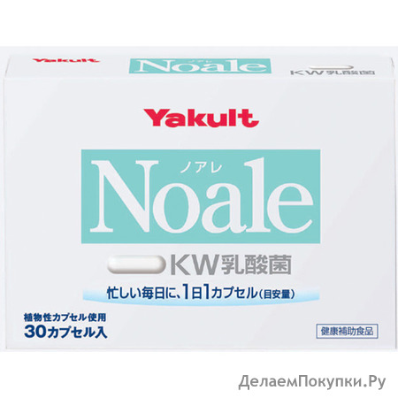 Yakult Noale. KW- . 30 .