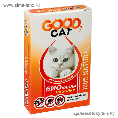  GOOD CAT        , 3  1 105 