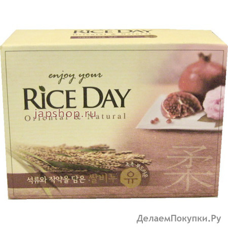 CJ Lion Rice Day  ,   , 100 