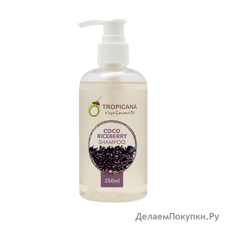 TROPICANA      oco riceberry shampoo, 250 