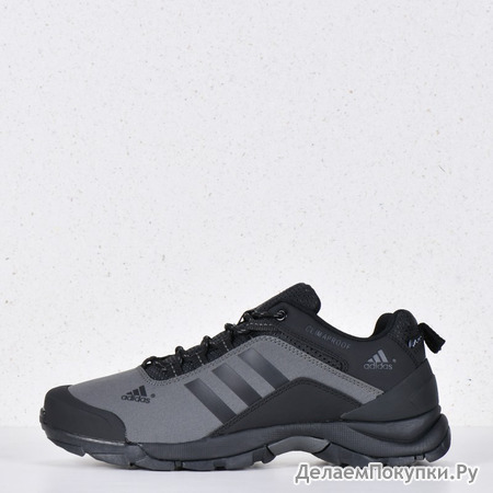  Adidas Terrex Grey (Gore-tex)  572-5