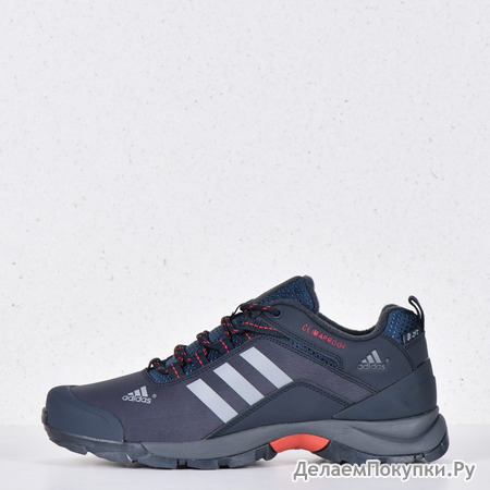  Adidas Terrex Blue (Gore-tex)  w634-4