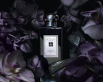 Jo Malone Dark Amber & Ginger Lily